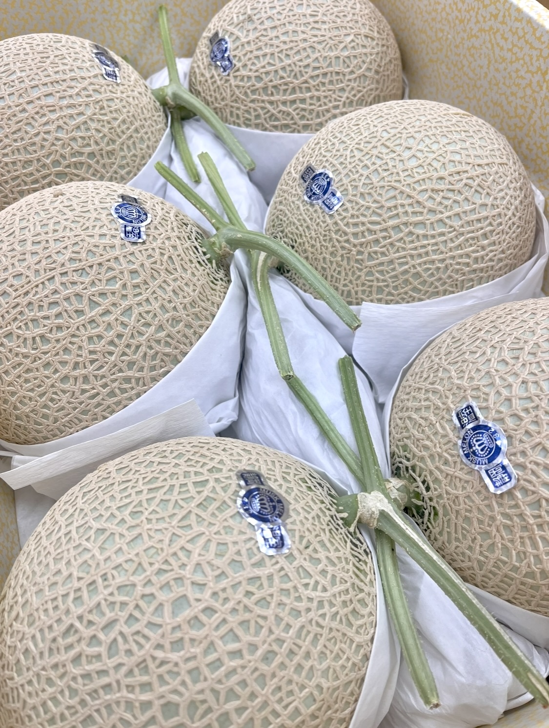 箱に並ぶクラウンメロン
